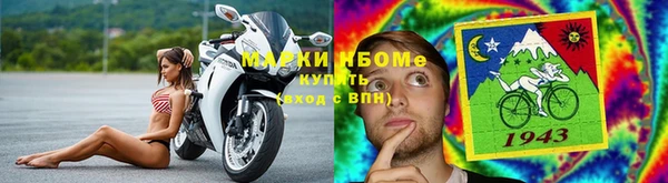 твердый Абаза